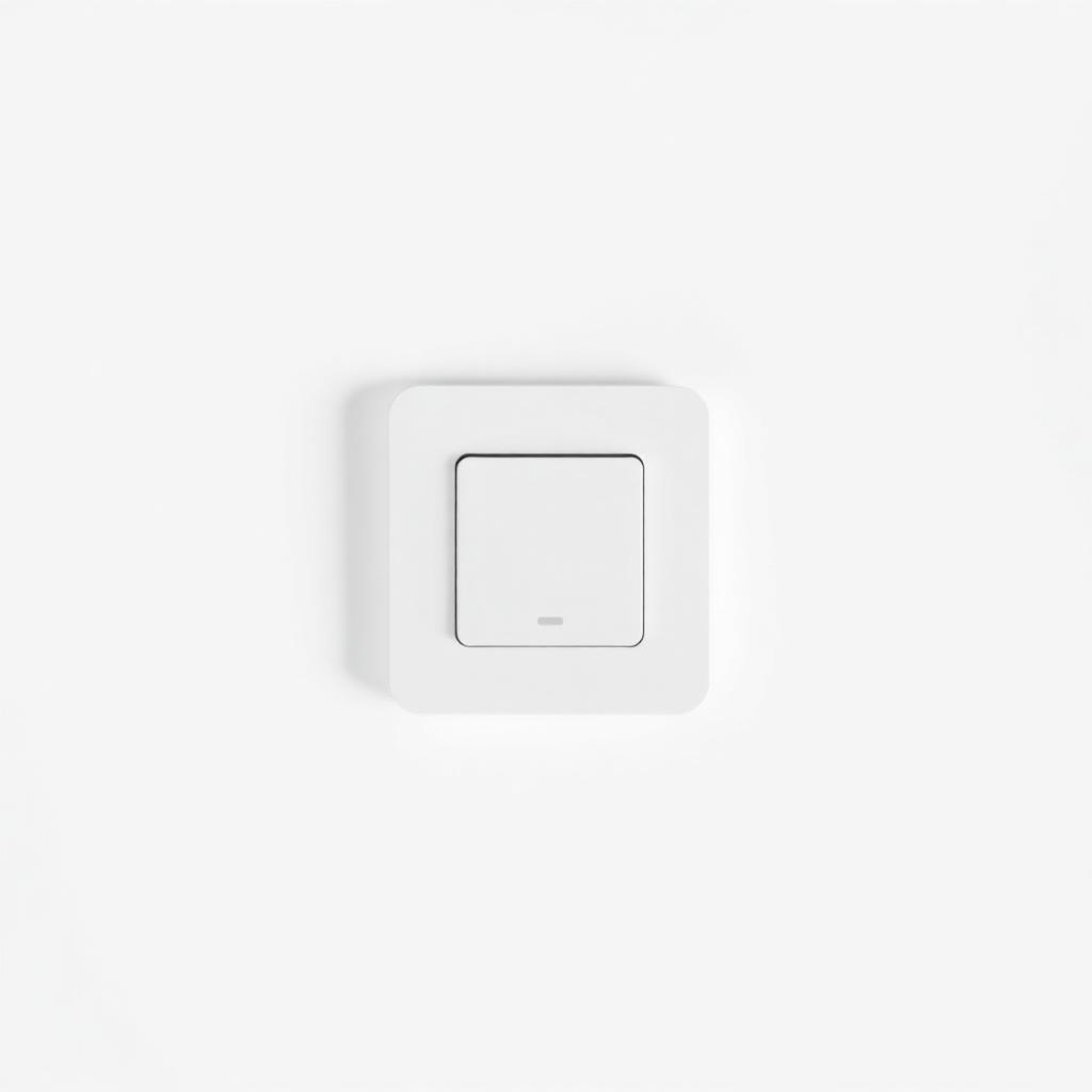 Philips Hue Wall Switch Module